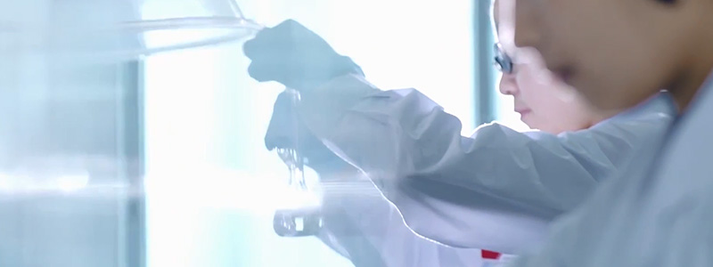 122cc太阳集成游戏(中国)有限公司官网